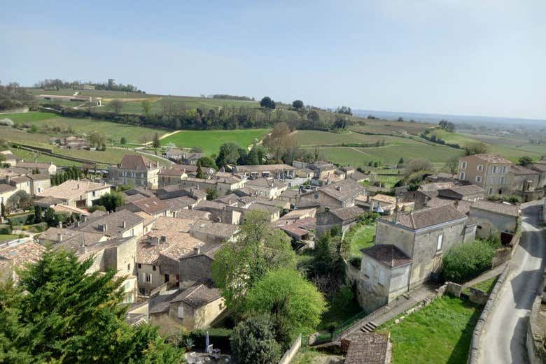 Saint-Émilion Day Trip from Bordeaux: Monolithic Church, Trinity Chapel, Grand Cru Tasting (5/7)