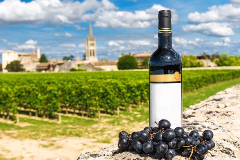 Saint-Émilion Day Trip from Bordeaux: Monolithic Church, Trinity Chapel, Grand Cru Tasting (7/7)