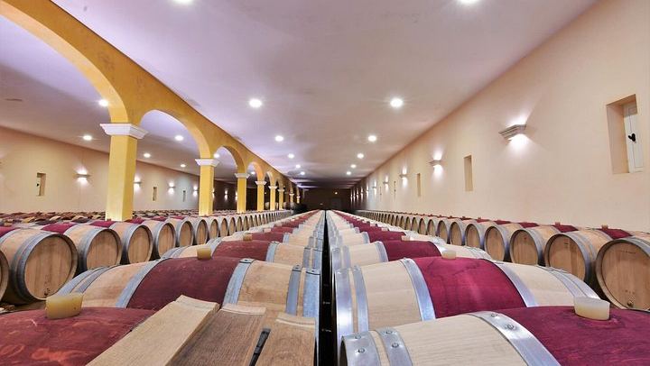 Bordeaux Wine Trails E-Bike Tour: Saint-Émilion and Pomerol Vineyards, Picnic, Minivan (3/12)