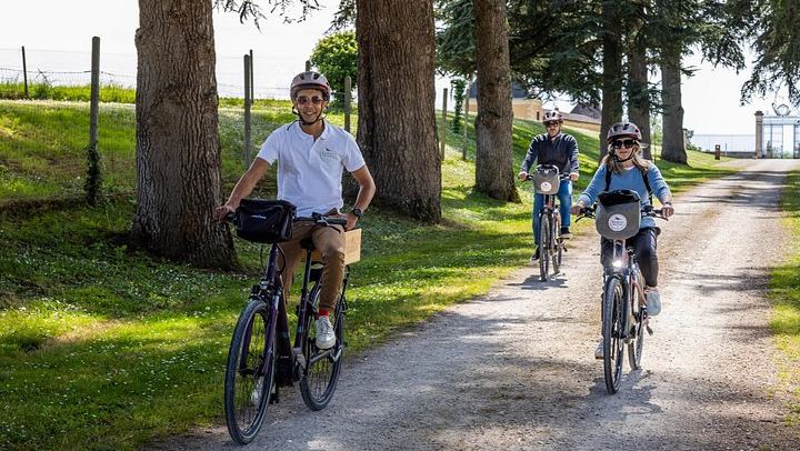 Bordeaux Wine Trails E-Bike Tour: Saint-Émilion and Pomerol Vineyards, Picnic, Minivan (2/12)
