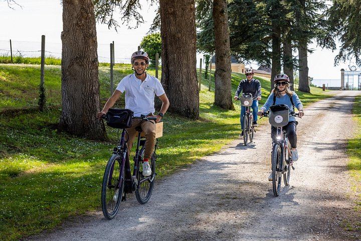 Bordeaux Wine Trails E-Bike Tour: Saint-Émilion and Pomerol Vineyards, Picnic, Minivan (2/12)