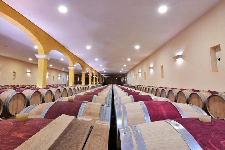 Bordeaux Wine Trails E-Bike Tour: Saint-Émilion and Pomerol Vineyards, Picnic, Minivan (3/12)