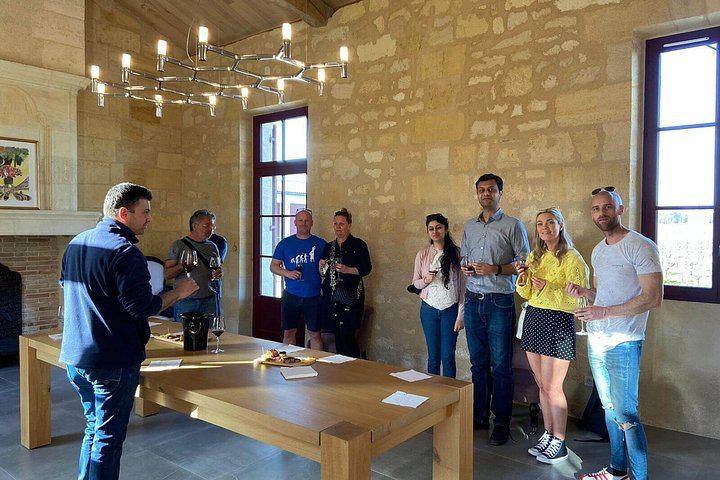 Bordeaux Wine Trails E-Bike Tour: Saint-Émilion and Pomerol Vineyards, Picnic, Minivan (12/12)