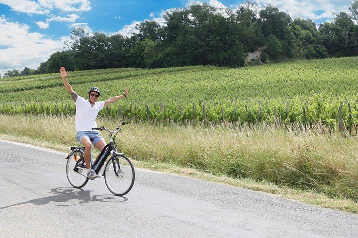 Bordeaux Wine Trails E-Bike Tour: Saint-Émilion and Pomerol Vineyards, Picnic, Minivan (8/12)