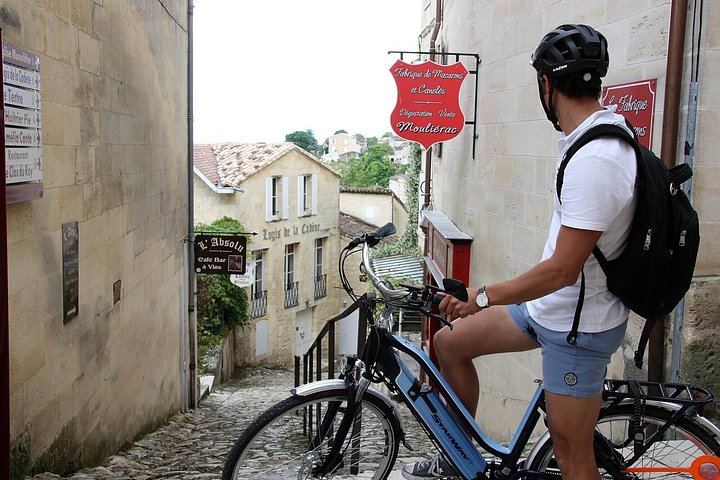 Bordeaux Wine Trails E-Bike Tour: Saint-Émilion and Pomerol Vineyards, Picnic, Minivan (9/12)