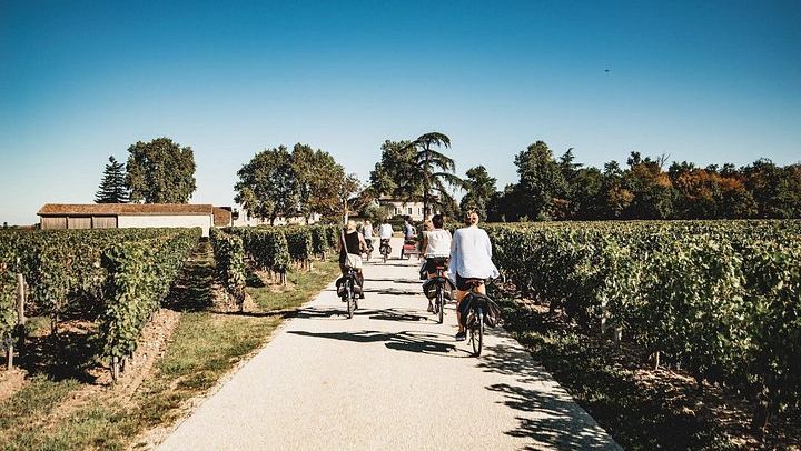 Saint-Émilion E-Bike Day from Bordeaux: Two Châteaux, Vineyard Picnic and Village Tasting (3/12)