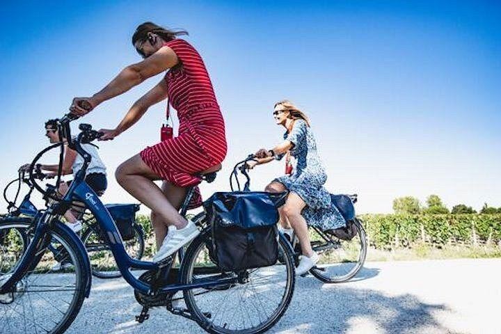 Saint-Émilion E-Bike Day from Bordeaux: Two Châteaux, Vineyard Picnic and Village Tasting (1/12)
