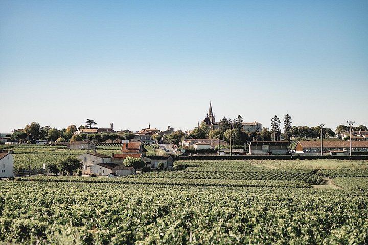Saint-Émilion E-Bike Day from Bordeaux: Two Châteaux, Vineyard Picnic and Village Tasting (7/12)