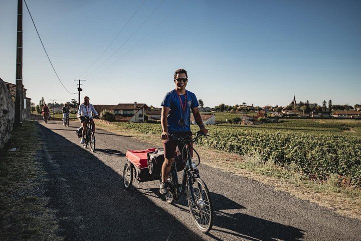 Saint-Émilion E-Bike Day from Bordeaux: Two Châteaux, Vineyard Picnic and Village Tasting (2/12)