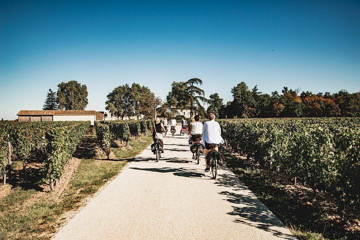Saint-Émilion E-Bike Day from Bordeaux: Two Châteaux, Vineyard Picnic and Village Tasting (3/12)