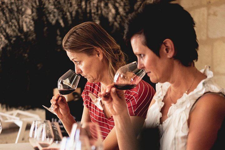 Saint-Émilion E-Bike Day from Bordeaux: Two Châteaux, Vineyard Picnic and Village Tasting (9/12)