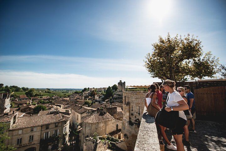 Rustic Vines Saint-Émilion Food and Wine Day: Château Chauvin Lunch, Two Estates, Walk (9/10)