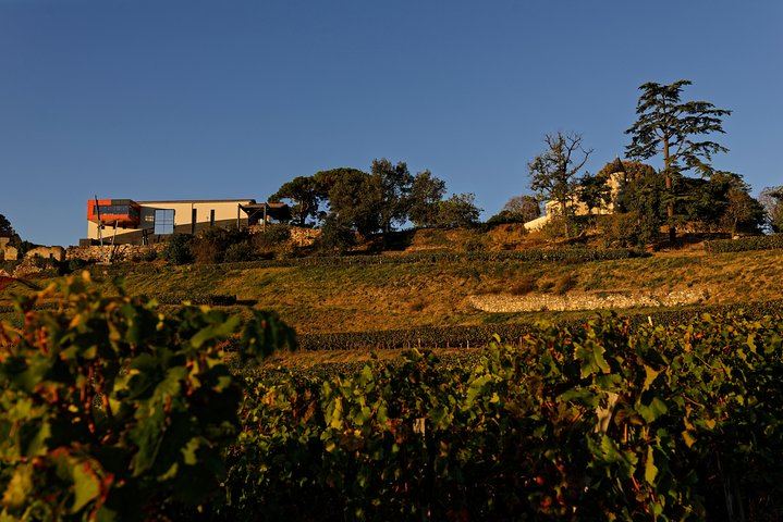 Saint-Émilion Grand Cru Classé: Château Tour Baladoz and La Croizille Visit and Tasting (6/6)