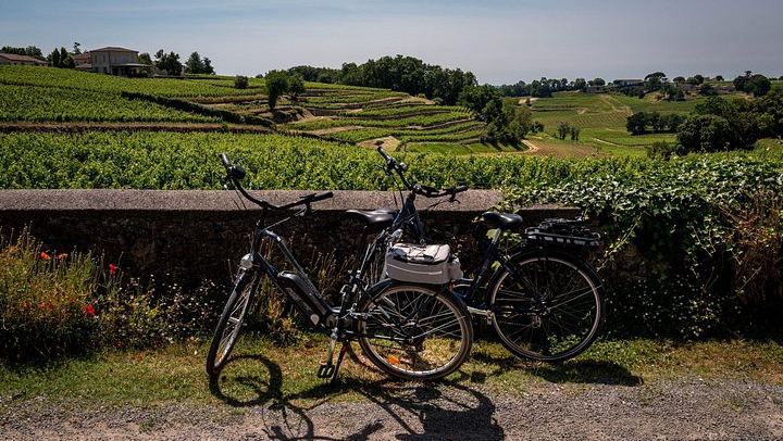 Saint-Émilion Half-Day E-Bike Tour with Bordeaux Wine Pilgrim, Picnic and 7+ Wines (2/12)