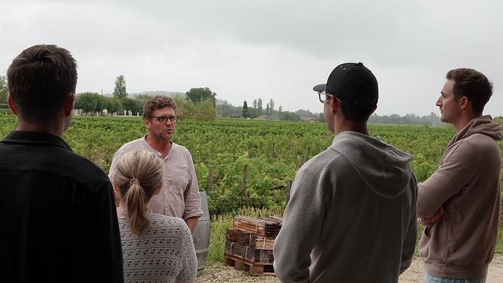 Saint-Émilion Half-Day E-Bike Tour with Bordeaux Wine Pilgrim, Picnic and 7+ Wines (3/12)