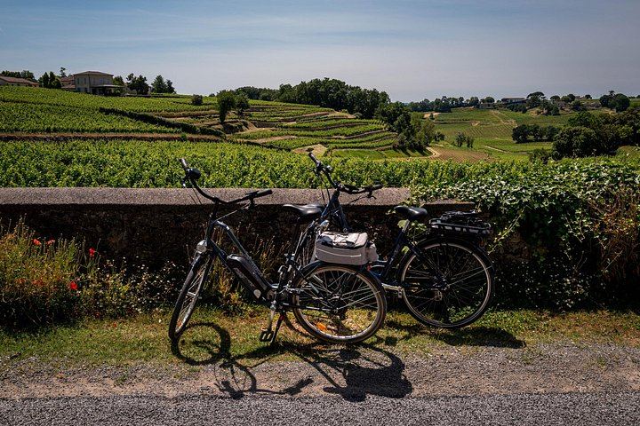 Saint-Émilion Half-Day E-Bike Tour with Bordeaux Wine Pilgrim, Picnic and 7+ Wines (2/12)