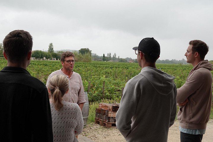 Saint-Émilion Half-Day E-Bike Tour with Bordeaux Wine Pilgrim, Picnic and 7+ Wines (3/12)