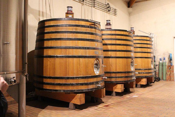 Saint-Émilion Half-Day E-Bike Tour with Bordeaux Wine Pilgrim, Picnic and 7+ Wines (8/12)