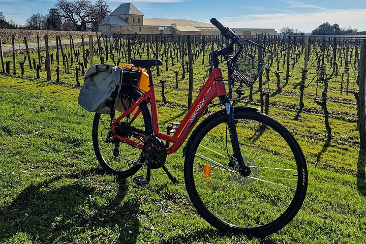 Saint-Émilion Half-Day E-Bike Tour with Bordeaux Wine Pilgrim, Picnic and 7+ Wines (6/12)