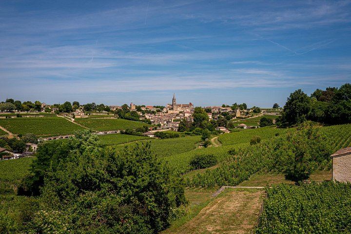 Saint-Émilion Half-Day E-Bike Tour with Bordeaux Wine Pilgrim, Picnic and 7+ Wines (11/12)