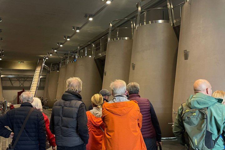 Full-Day Saint-Émilion Trip from Bordeaux: Three Château Tastings and Village Sightseeing (9/10)
