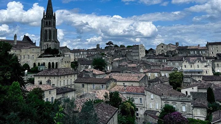 Saint-Émilion and Médoc in One Day: Small-Group Tour with WSET Guide and Cellar Tastings (1/8)