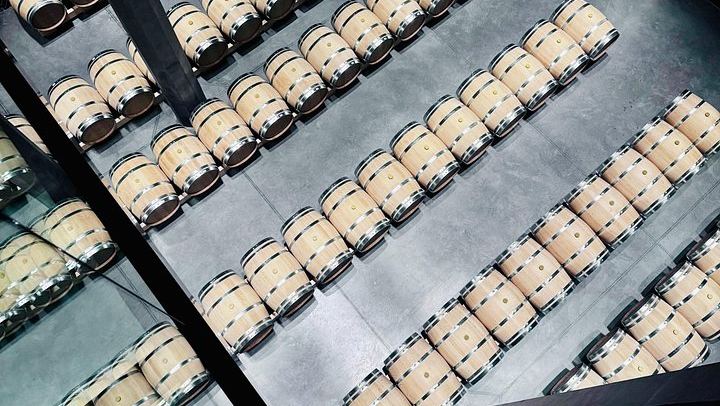 Saint-Émilion and Médoc in One Day: Small-Group Tour with WSET Guide and Cellar Tastings (4/8)