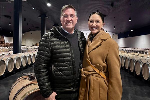 Saint-Émilion and Médoc in One Day: Small-Group Tour with WSET Guide and Cellar Tastings