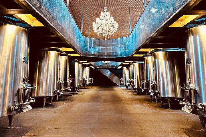 Saint-Émilion and Médoc in One Day: Small-Group Tour with WSET Guide and Cellar Tastings (5/8)