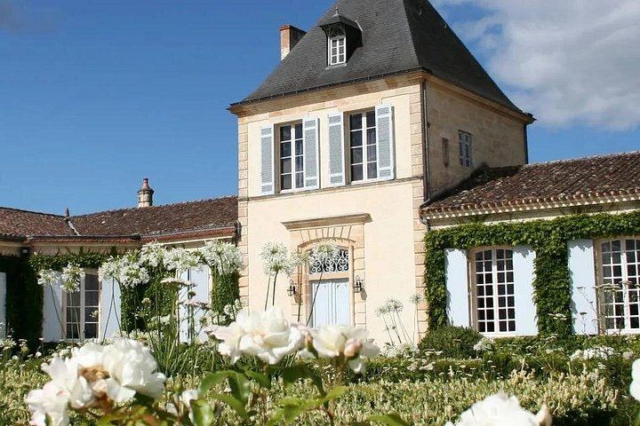 Saint-Émilion and Médoc in One Day: Small-Group Tour with WSET Guide and Cellar Tastings (6/8)