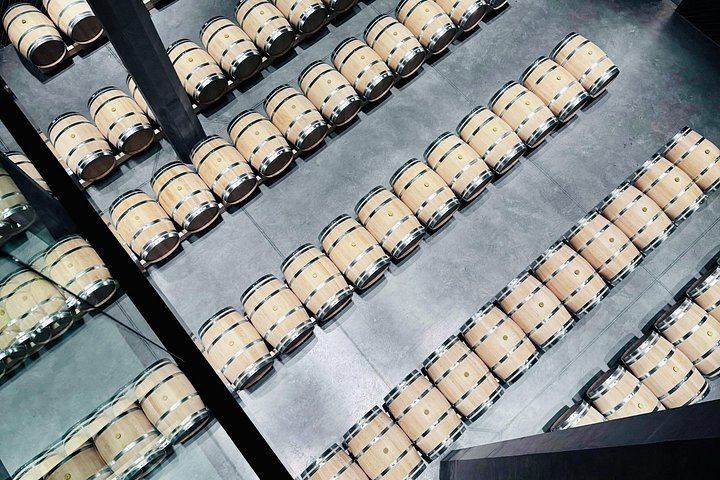 Saint-Émilion and Médoc in One Day: Small-Group Tour with WSET Guide and Cellar Tastings (4/8)