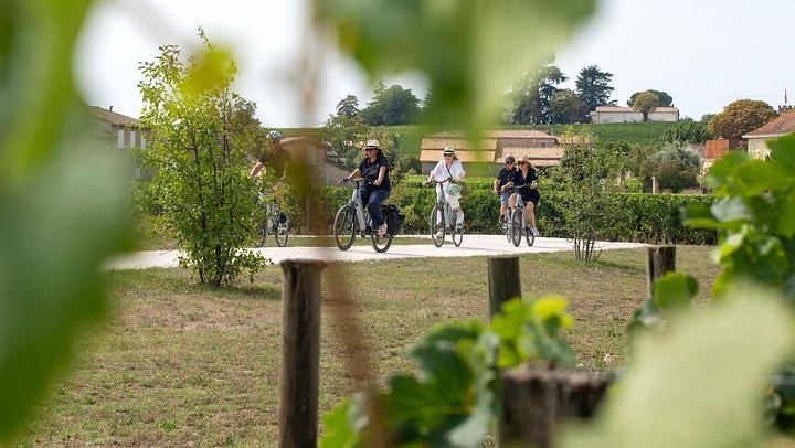 Max-8 E-Bike Day from Bordeaux: Saint-Émilion Minivan Transfer, Grand Cru Lunch, Pétrus (3/10)