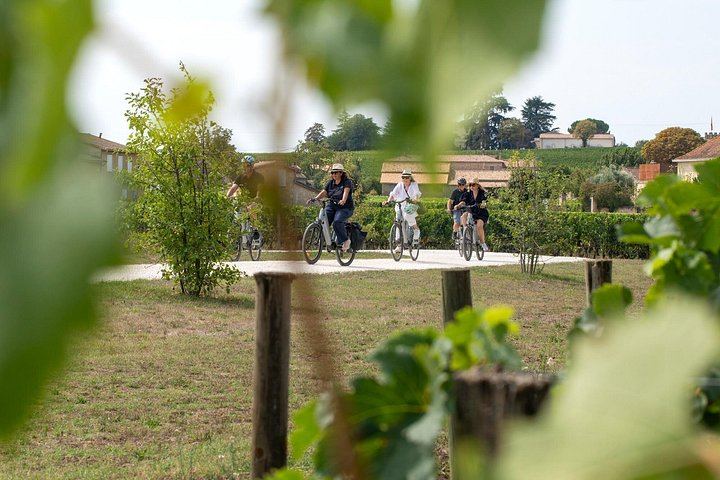 Max-8 E-Bike Day from Bordeaux: Saint-Émilion Minivan Transfer, Grand Cru Lunch, Pétrus (3/10)
