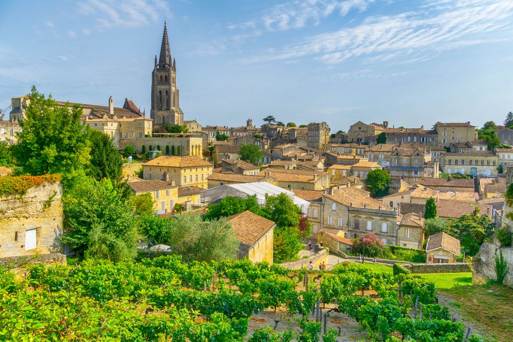 The roofs and spire of Saint-Émilion above a slope of vines