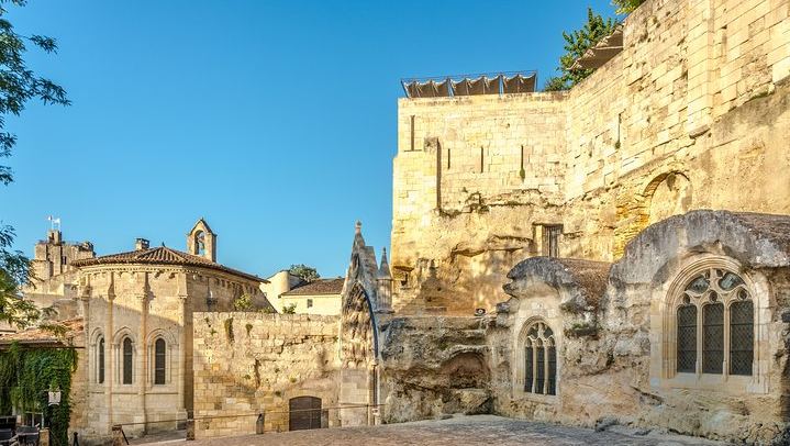 Full-Day Saint-Émilion Trip from Bordeaux: Three Château Tastings and Village Sightseeing (1/10)