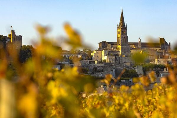 Half-Day Saint-Émilion from Bordeaux: Grand Cru or Pomerol Tasting, Medieval Village Walk