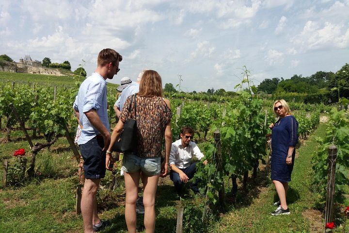Saint-Émilion Half-Day Minibus Wine Tour from Bordeaux, Morning or Afternoon, Max 8 Guests (6/9)