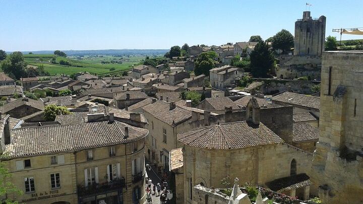 Saint-Émilion Half-Day Minibus Wine Tour from Bordeaux, Morning or Afternoon, Max 8 Guests (2/9)