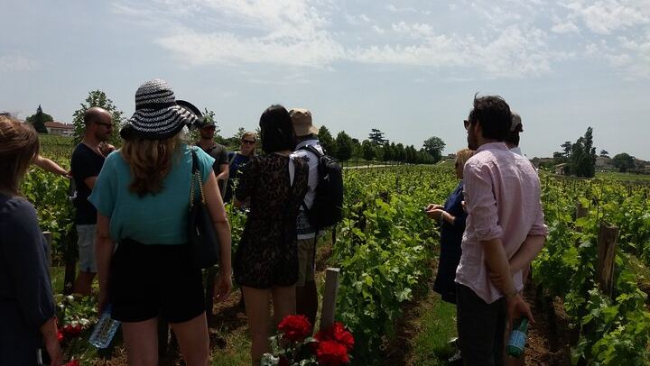 Saint-Émilion Half-Day Minibus Wine Tour from Bordeaux, Morning or Afternoon, Max 8 Guests (1/9)