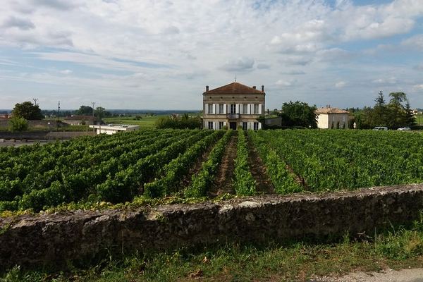 Saint-Émilion Half-Day Minibus Wine Tour from Bordeaux, Morning or Afternoon, Max 8 Guests