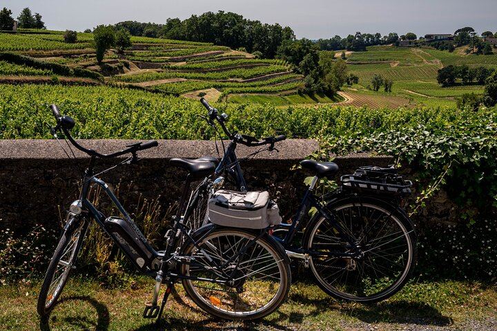 BordeauxWinePilgrim Premium E-Bike Pilgrimage in Saint-Émilion with Château Garden Lunch (6/12)