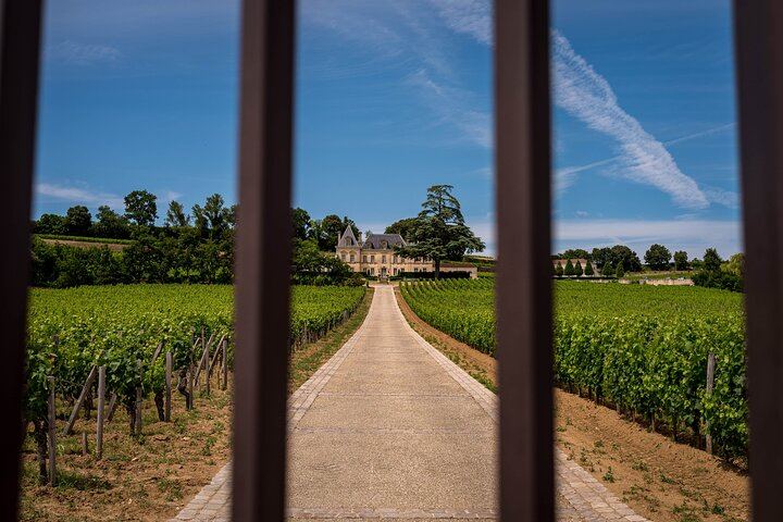 BordeauxWinePilgrim Premium E-Bike Pilgrimage in Saint-Émilion with Château Garden Lunch (10/12)