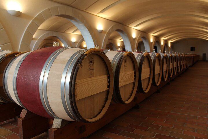 Saint-Émilion Half-Day E-Bike Tour with Bordeaux Wine Pilgrim, Picnic and 7+ Wines (5/12)