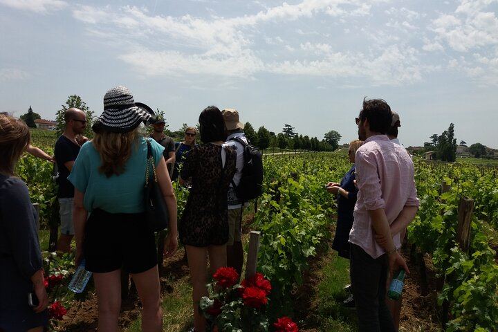 Saint-Émilion Half-Day Minibus Wine Tour from Bordeaux, Morning or Afternoon, Max 8 Guests (1/9)