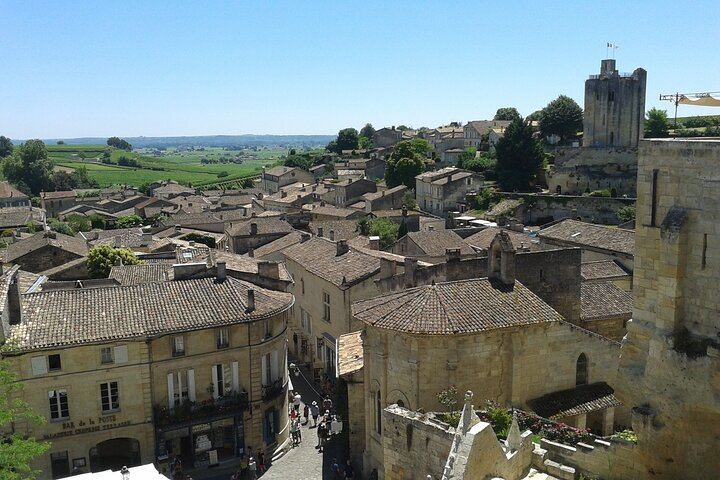 Saint-Émilion Half-Day Minibus Wine Tour from Bordeaux, Morning or Afternoon, Max 8 Guests (2/9)