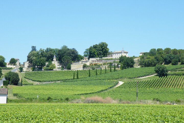 Saint-Émilion Half-Day Minibus Wine Tour from Bordeaux, Morning or Afternoon, Max 8 Guests (8/9)