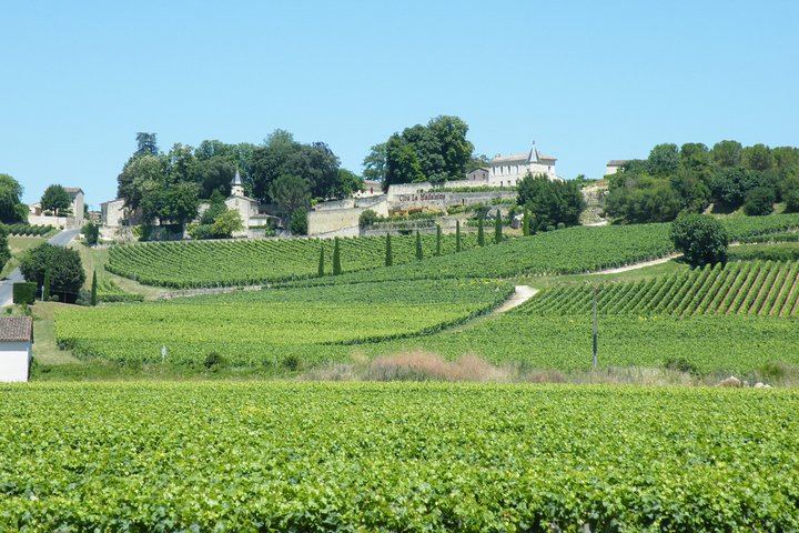 Saint-Émilion Half-Day Minibus Wine Tour from Bordeaux, Morning or Afternoon, Max 8 Guests (5/9)