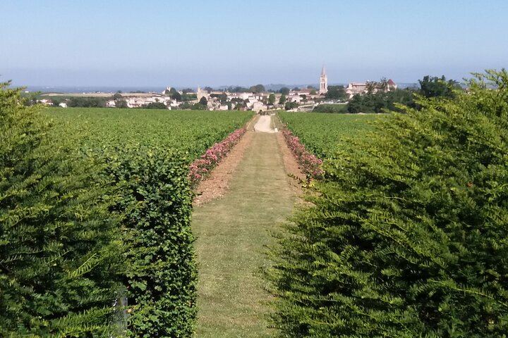 Saint-Émilion Half-Day Minibus Wine Tour from Bordeaux, Morning or Afternoon, Max 8 Guests (4/9)