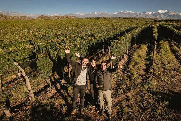 Uco Valley Wine Tour with Lunch: Salentein, Finca Adelma, La Azul and Bousquet (2/12)