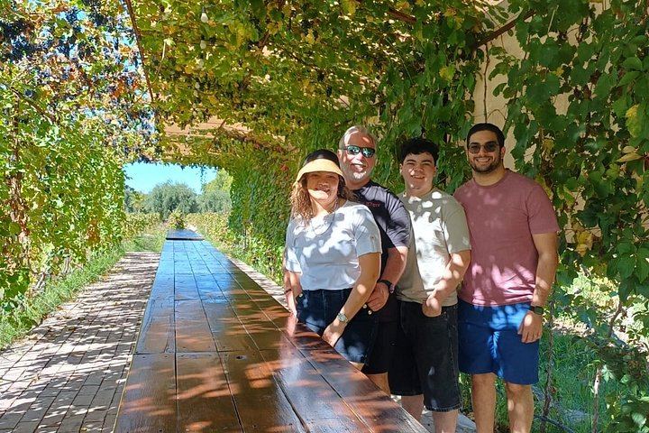 Uco Valley Wine Tour with Lunch: Salentein, Finca Adelma, La Azul and Bousquet (12/12)
